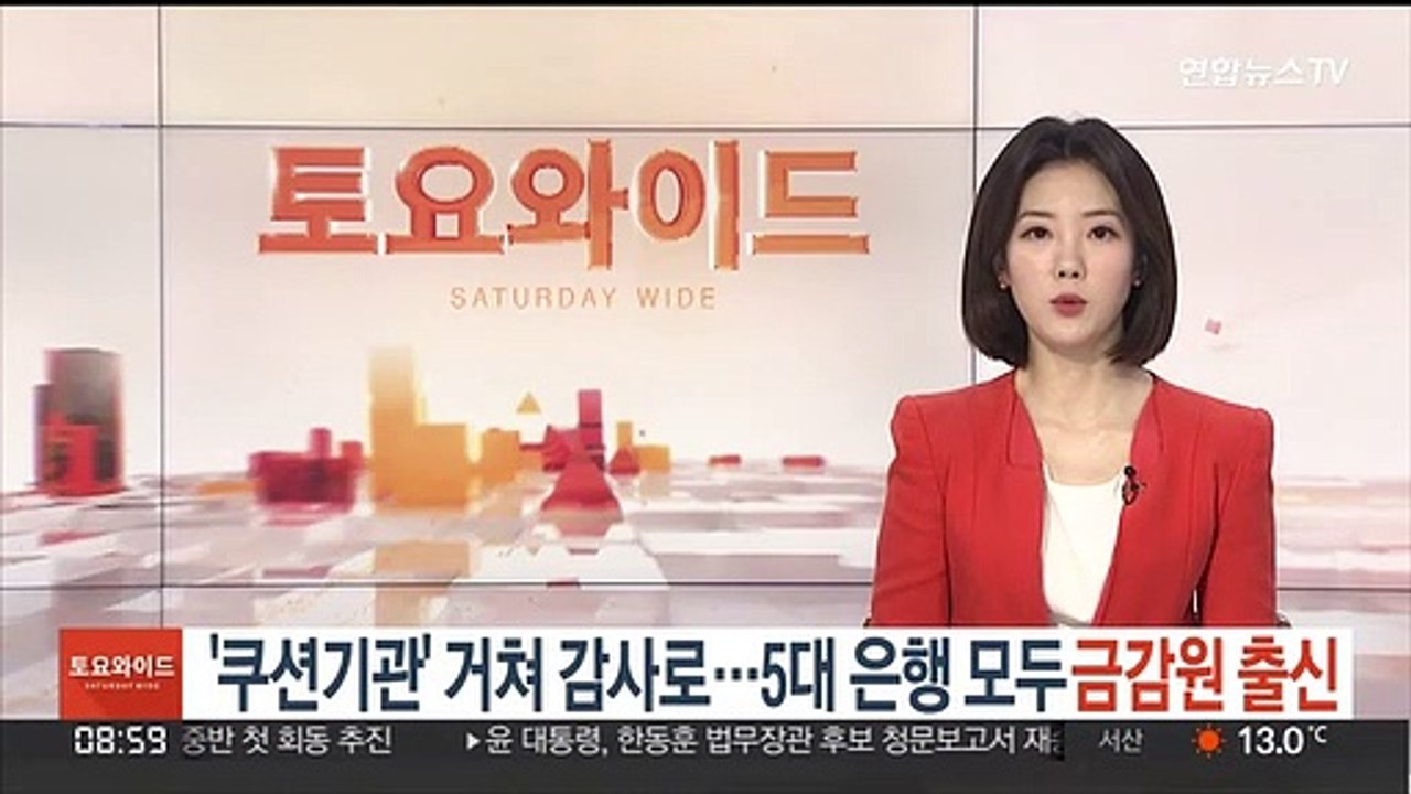 '쿠션기관' 거쳐 감사로…5대 은행 모두 금감원 출신