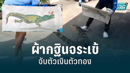 กู้ภัยใช้ผ้ากฐินจระเข้จับตัวเงินตัวทอง | โชว์ข่าวเช้านี้สุดสัปดาห์ | 14 พ.ค. 65