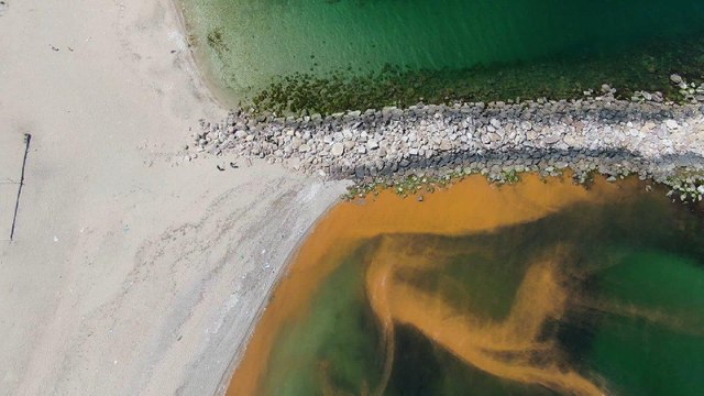 Karadeniz’de korkutan renk değişimi