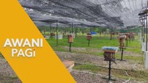 AWANI Pagi: Ambil Manfaat dan Potensi Lebah