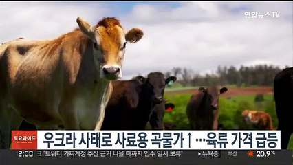 우크라 사태로 사료용 곡물가↑…육류 가격 급등