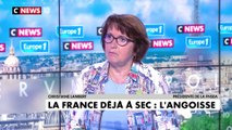 Christiane Lambert : «Les sécheresses sont de plus en plus précoces»