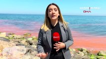 Korkutan görüntü! Karadeniz'de denizin rengi değişti