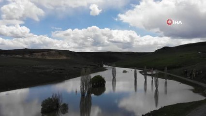 Kars'ta sular altında kalan ağaçlar havadan görüntülendi