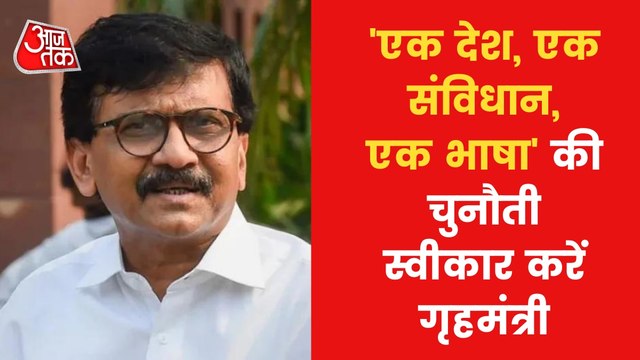 Sanjay Raut bats for 'one country, one language'