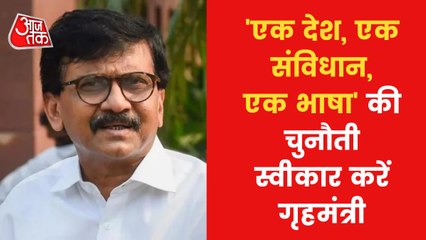 Sanjay Raut bats for 'one country, one language'