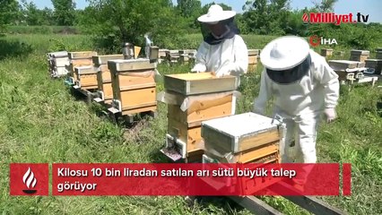 Kilosu 10 bin liradan satılıyor! Siparişlere yetişemiyor