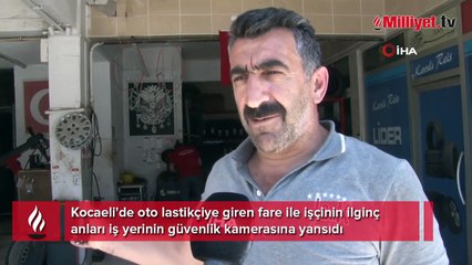 Oto lastikçinin fareyle imtihanı