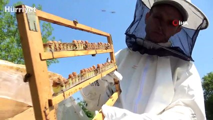 Hücre yeniliyor! Kilosu 10 bin liradan satışa çıktı