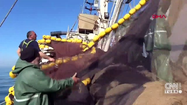 Mavi yüzgeçli orkinos avcılığı, 15 Mayıs'ta başlayacak