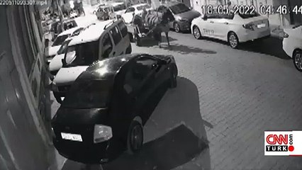 Atlı hırsızlık çetesi kameralarda