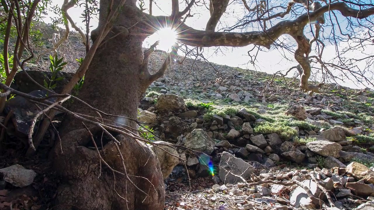 Δυτική Κρήτη - η ρεματιά με τα γυμνά πλατάνια