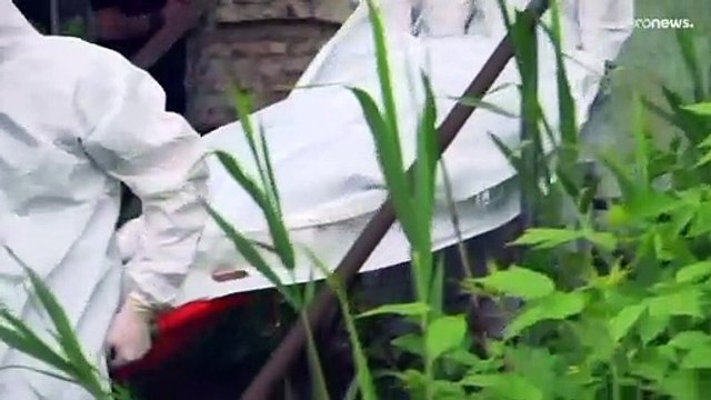 Киев предлагает Москве забрать тела убитых российских военнослужащих