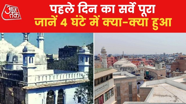 Gyanvapi basement survey done carefully, know full details