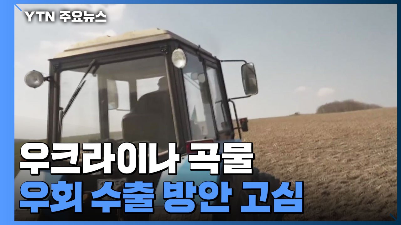 '우크라이나 곡물' 우회 수출 방안 고심 / YTN
