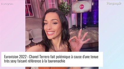 Eurovision 2022 : Une candidate accusée de maltraitance animale, son costume gage de "violence" et de "sadisme"