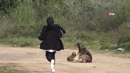 Son dakika haberleri! Korkunç iddia: Köpeği ile birlikte sahibini öldürmekle tehdit etti