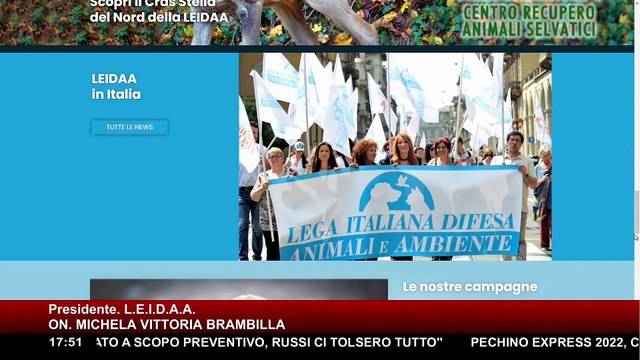 Allerta peste suina, On. Brambilla avverte ▷ No agli abbattiment, rischiano di favorire infezione | Bau Miao 5° puntata