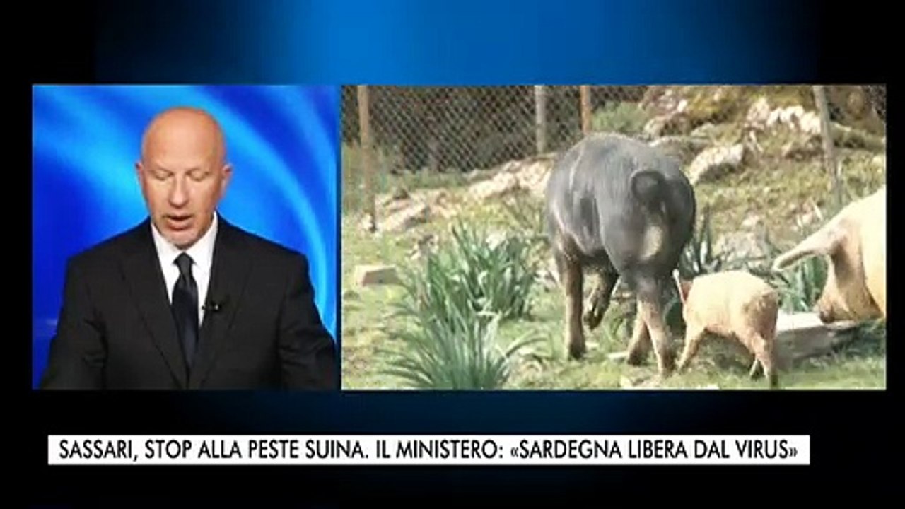 TG 14.05.2022 STORIE