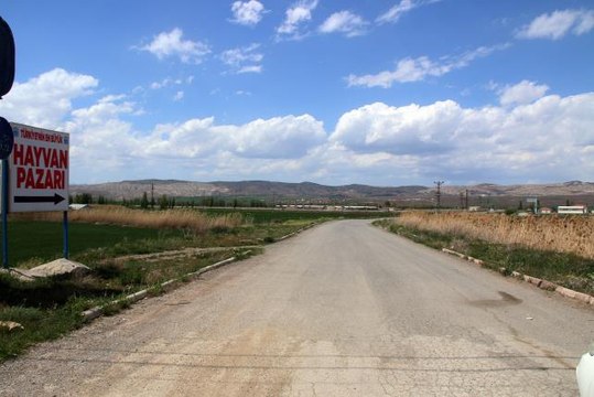 Türkiye'nin en büyük canlı hayvan pazarının kapasitesi artırılacak