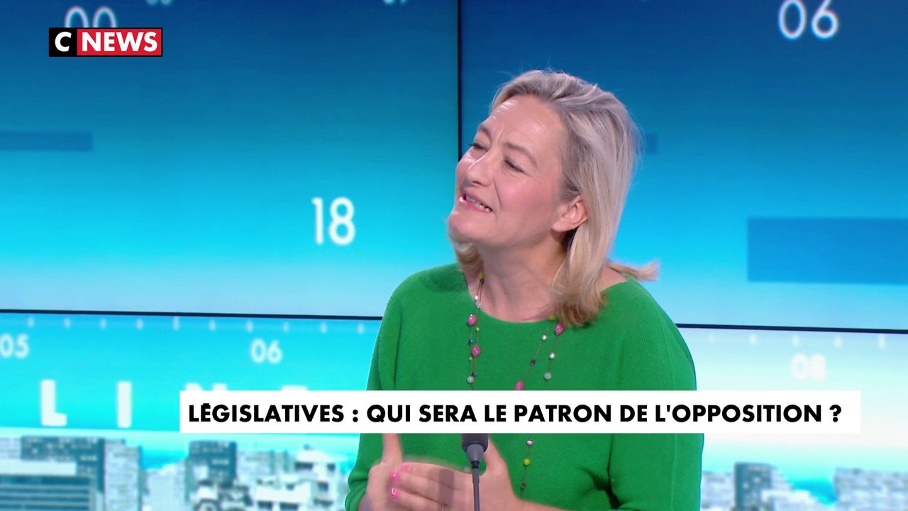 Ludovine de La Rochère : «Comme président de groupe, Damien Abad avait un rôle crucial à jouer, qu’il n’a absolument pas joué»