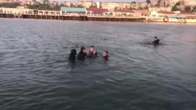 Son dakika haber | Şile'de nefes kesen kurtarma operasyonu... Kıyıya vuran yunus böyle kurtarıldı