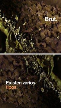 Estalagmita y estalactita...¿Cuál es la diferencia?