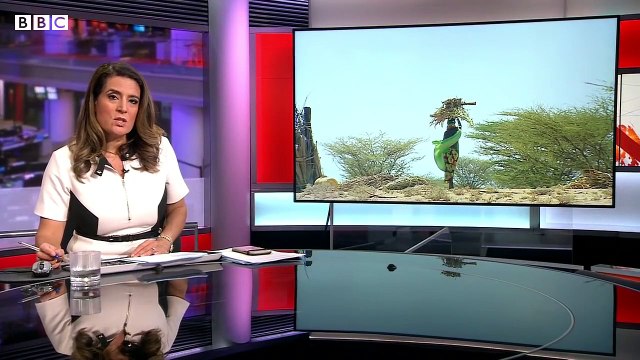 UN urges world not to ignore east Africa drought and hunger crisis
