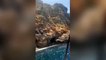 FULL VİDEO! Dad leaps to his death as family films him jumping off cliff in Spain!