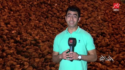 لتطوير منظومة الإنتاج.. (الحكاية) يتابع إنتاج سكر البنجر