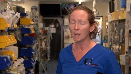 Pet patients turned away amid veterinarian shortage