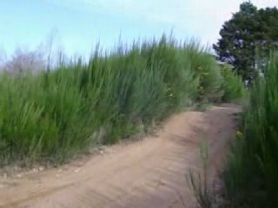 Photos et vidéos vtt 004