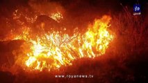 حريق كبير يأتي على مئات الدونمات من الأراضي الحرجية في محمية غابات اليرموك في إربد