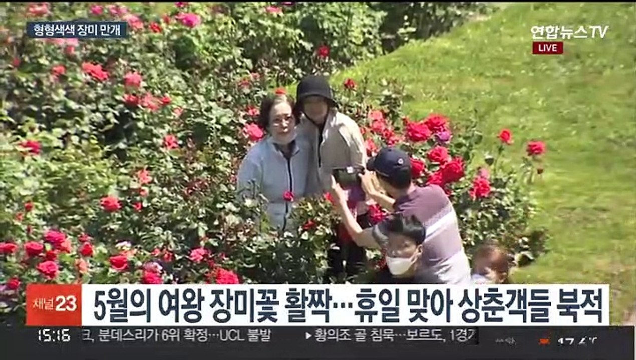 5월의 여왕 장미 활짝…축제장 상춘객 '북적'