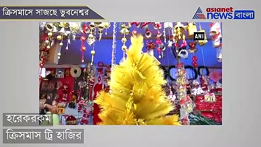 আসছে ক্রিসমাস, সেজে উঠছে ভুবনেশ্বর