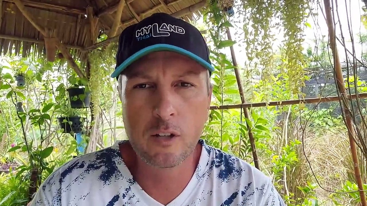 Wird es jetzt hässlich_