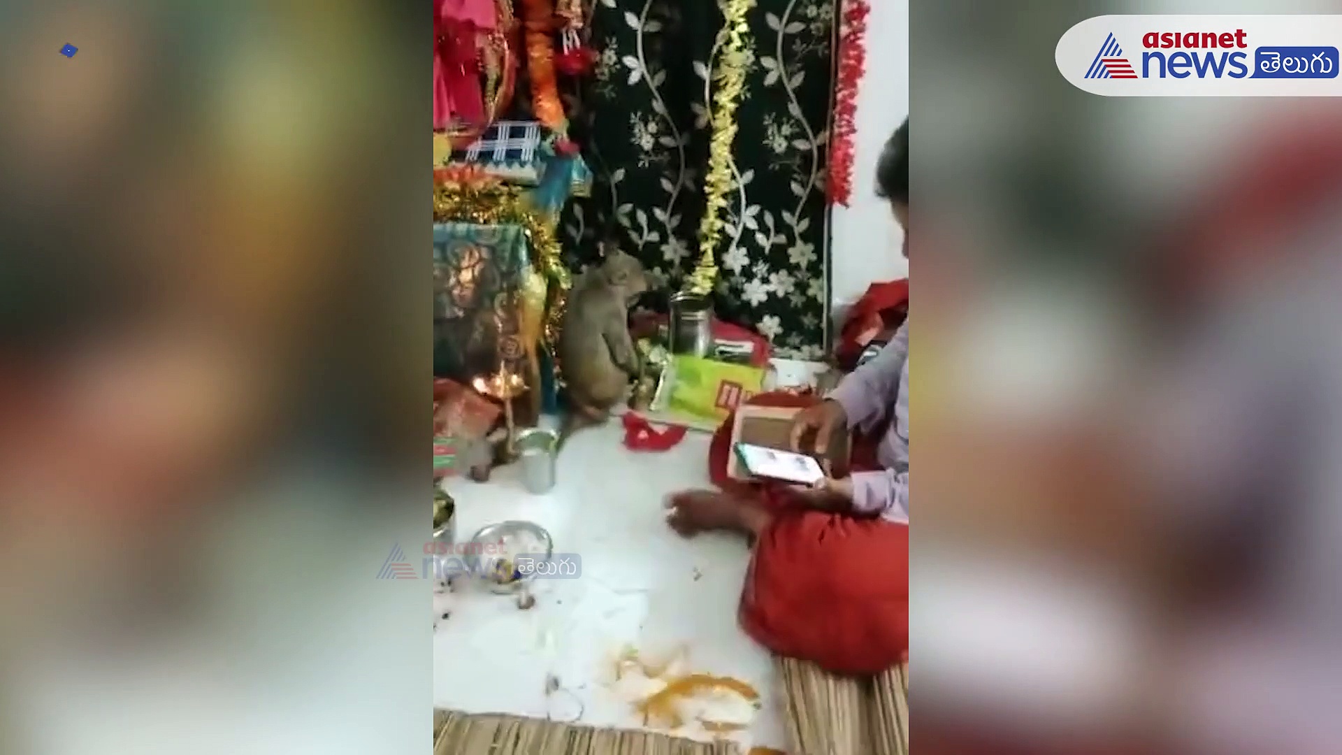 ఇంట్లో రాముల వారి కళ్యాణం ... హాజరైన హనుమంతుడు 