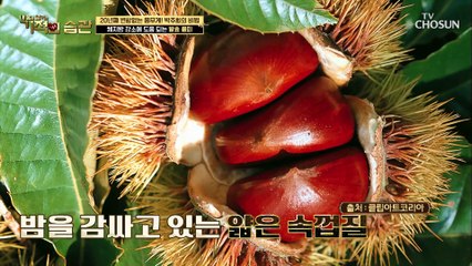 주희가 챙겨 먹는 『발효 율피』 중년 여성들에게 효과적인 이유! TV CHOSUN 220517 방송