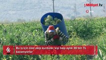 Bu iş için özel ekip kurdular, kişi başı aylık 30 bin TL kazanıyorlar