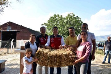 70 kadın üreticiye 700 saman balyası dağıtıldı