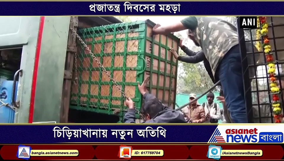 চিড়িয়াখানায় নতুন অতিথির আগমন, এল জোড়া পশুরাজ