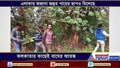 Tiger panic in Konnagar near Kolkata