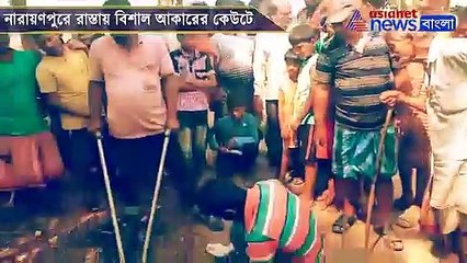 Snake on road at Narayanpur