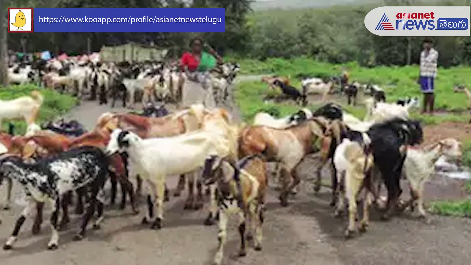 శ్రీశైలంలో కన్నడ భక్తుల ఆగ్రహం.. . ఐఏఎస్ లకు జైలు శిక్ష 