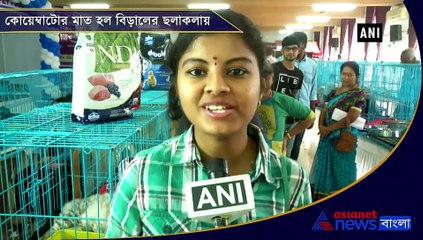 Tamil Nadus first cat show attracts pet lovers