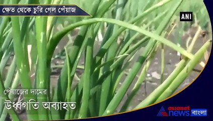 Onion crop worth Rs 30,000 stolen from farmers field in MP