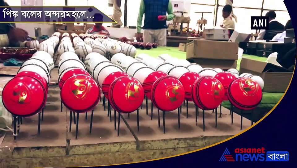 কী ভাবে তৈরি হয় ‘পিঙ্ক বল’, চলুন দেখি সেই ছবি