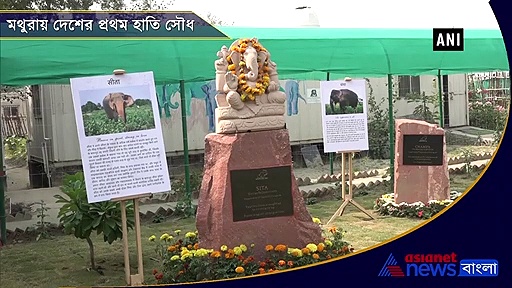 হাতিদের জন্য সৌধ, দৃষ্টান্ত স্থাপন করল কৃষ্ণের লীলাক্ষেত্র