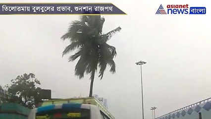 Bulbul effect in kolkata