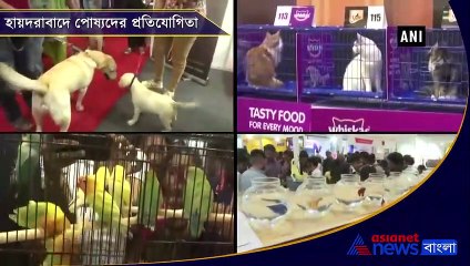 3 Day long event showcasing Indian pets concludes in Hyderabad